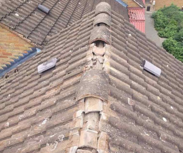 This is a photo of a roof ridge that has just been re-bedded, work carried out by DHG Roofing Shefford